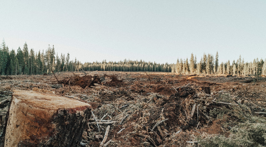 digital price tags sustainability environment